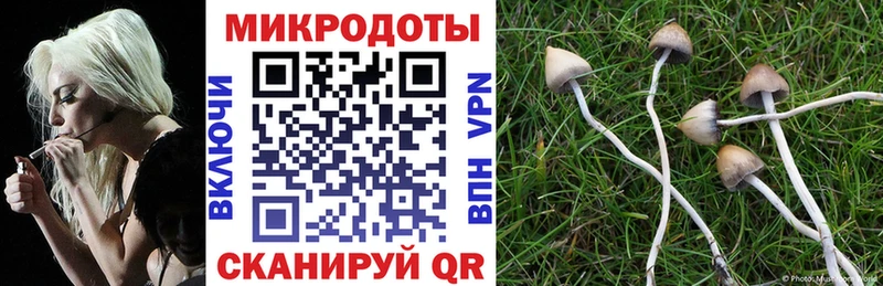 Купить закладки  Черняховск  Галлюциногенные грибы ЛСД